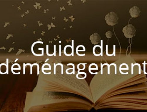 Prix du Déménagement International en 2025